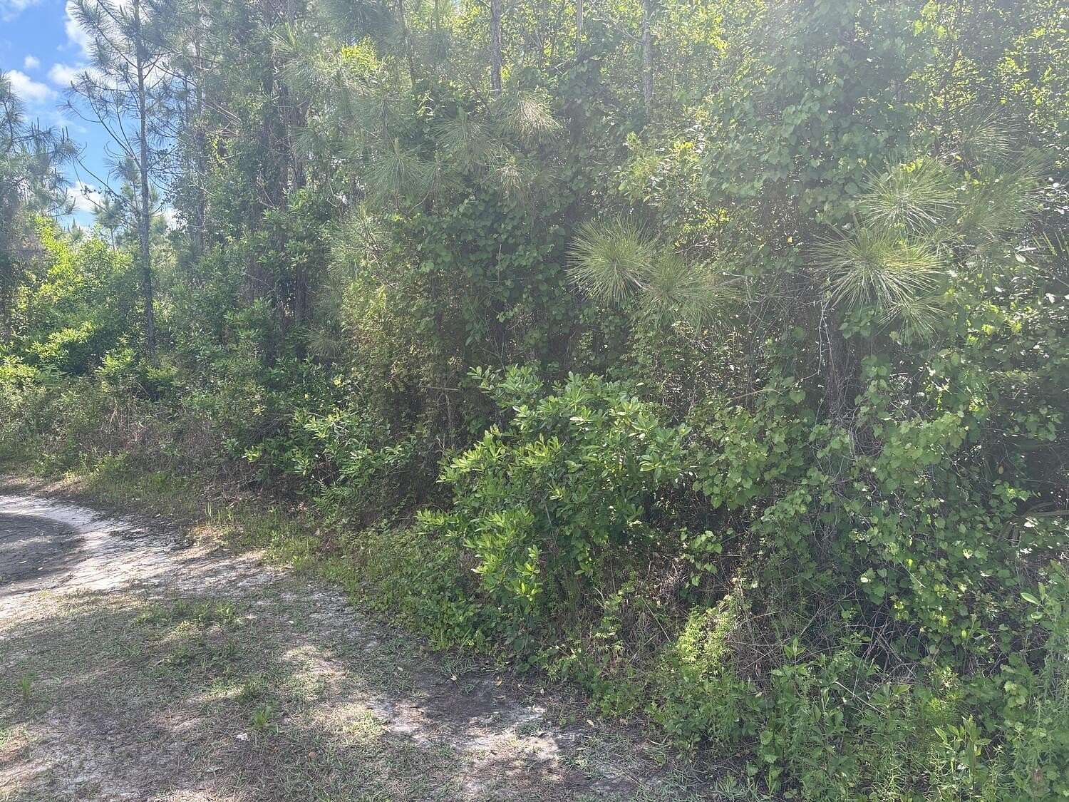0.31 Acres of Land for Sale in St. Cloud, Florida