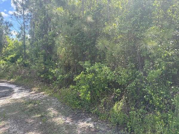 0.31 Acres of Land for Sale in St. Cloud, Florida