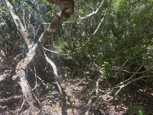 0.26 Acres of Residential Land for Sale in Lake Placid, Florida