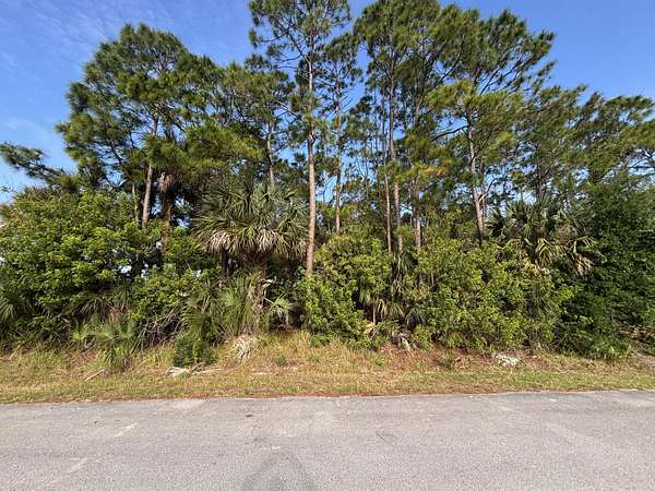 0.23 Acres of Residential Land for Sale in Palm Bay, Florida