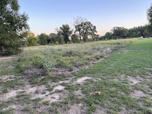 0.92 Acres of Residential Land for Sale in LaRue, Texas