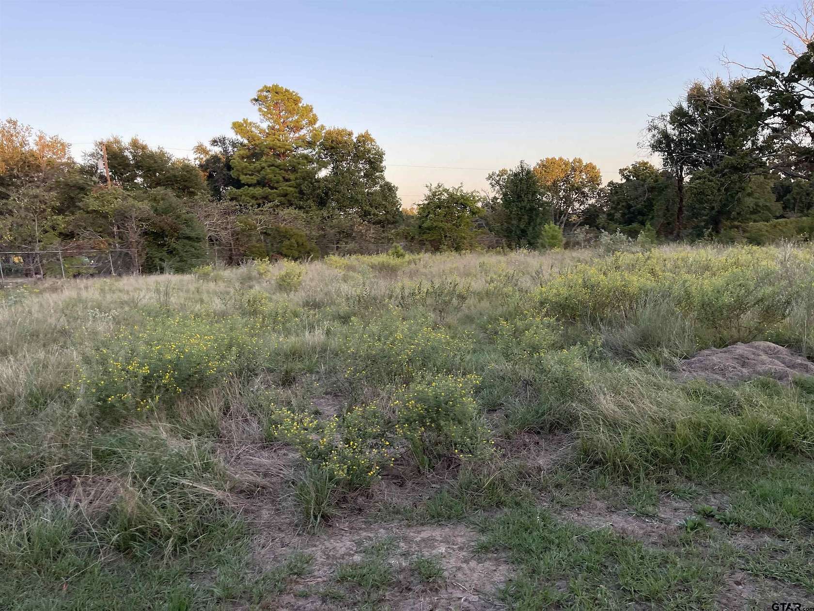 1.27 Acres of Commercial Land for Sale in LaRue, Texas