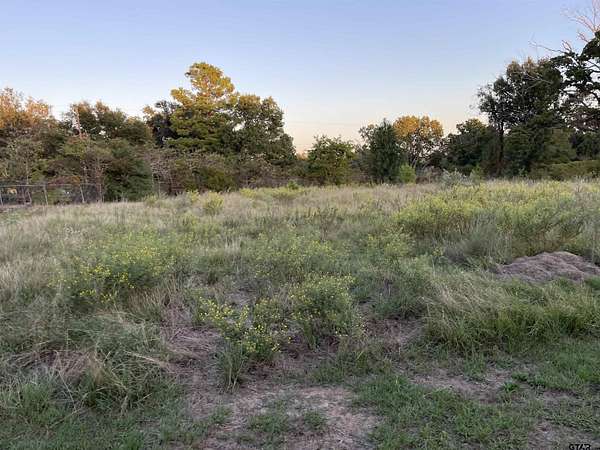 1.27 Acres of Commercial Land for Sale in LaRue, Texas