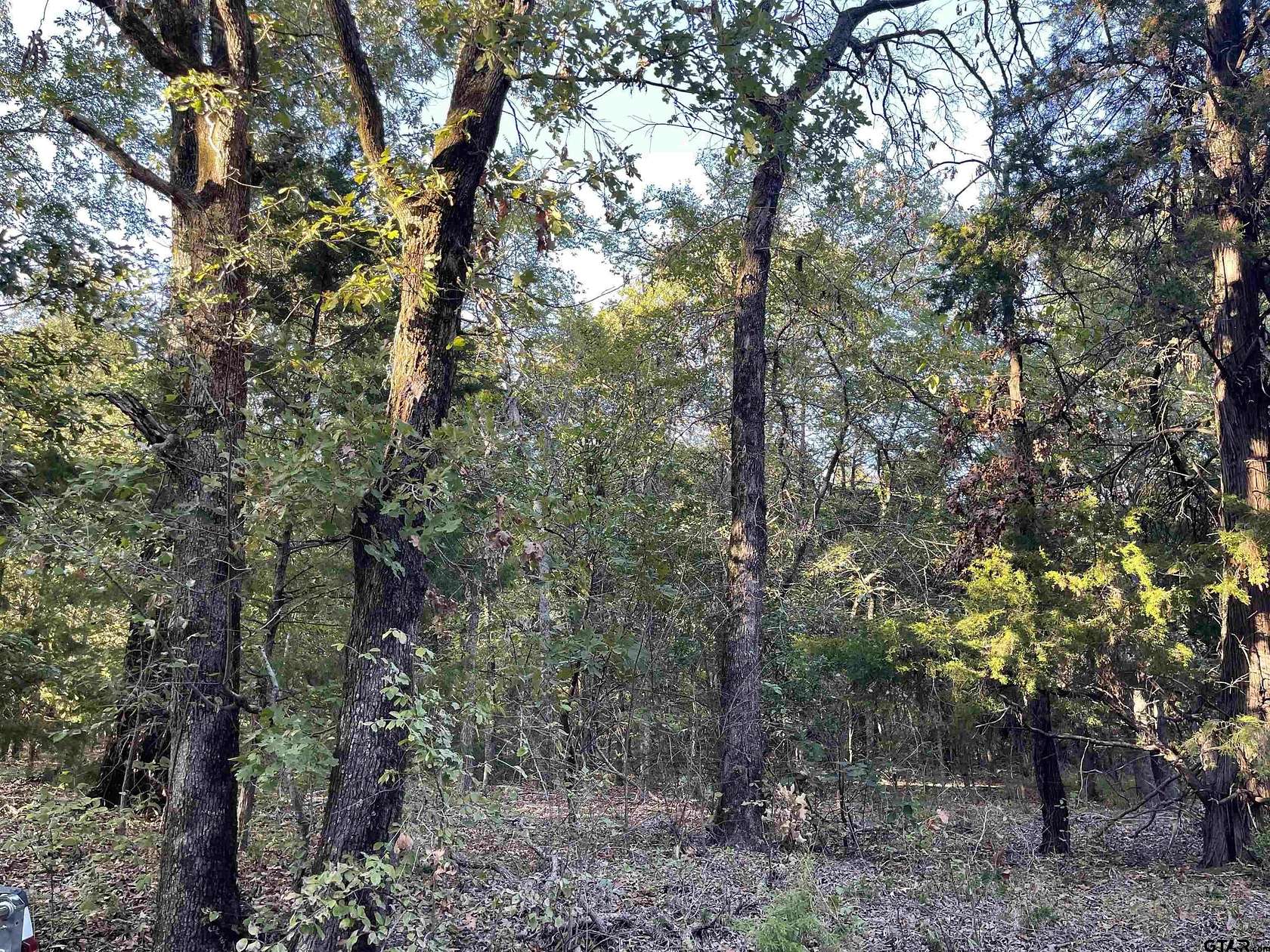 5 Acres of Residential Land for Sale in LaRue, Texas