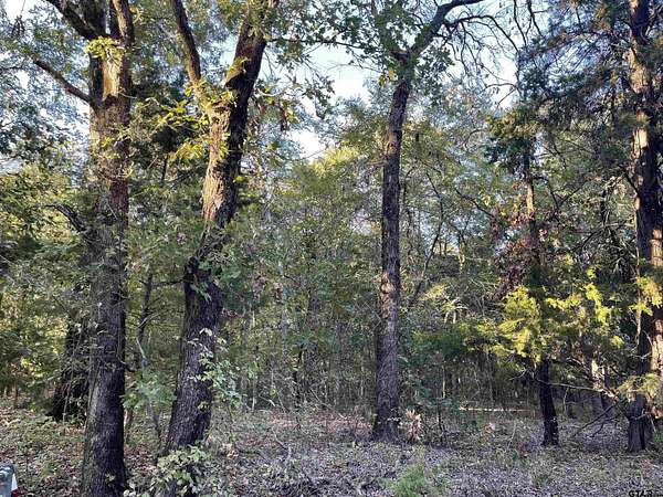 5 Acres of Residential Land for Sale in LaRue, Texas