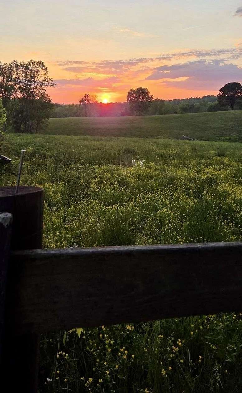 23 Acres of Agricultural Land with Home for Sale in Williamsburg, Kentucky