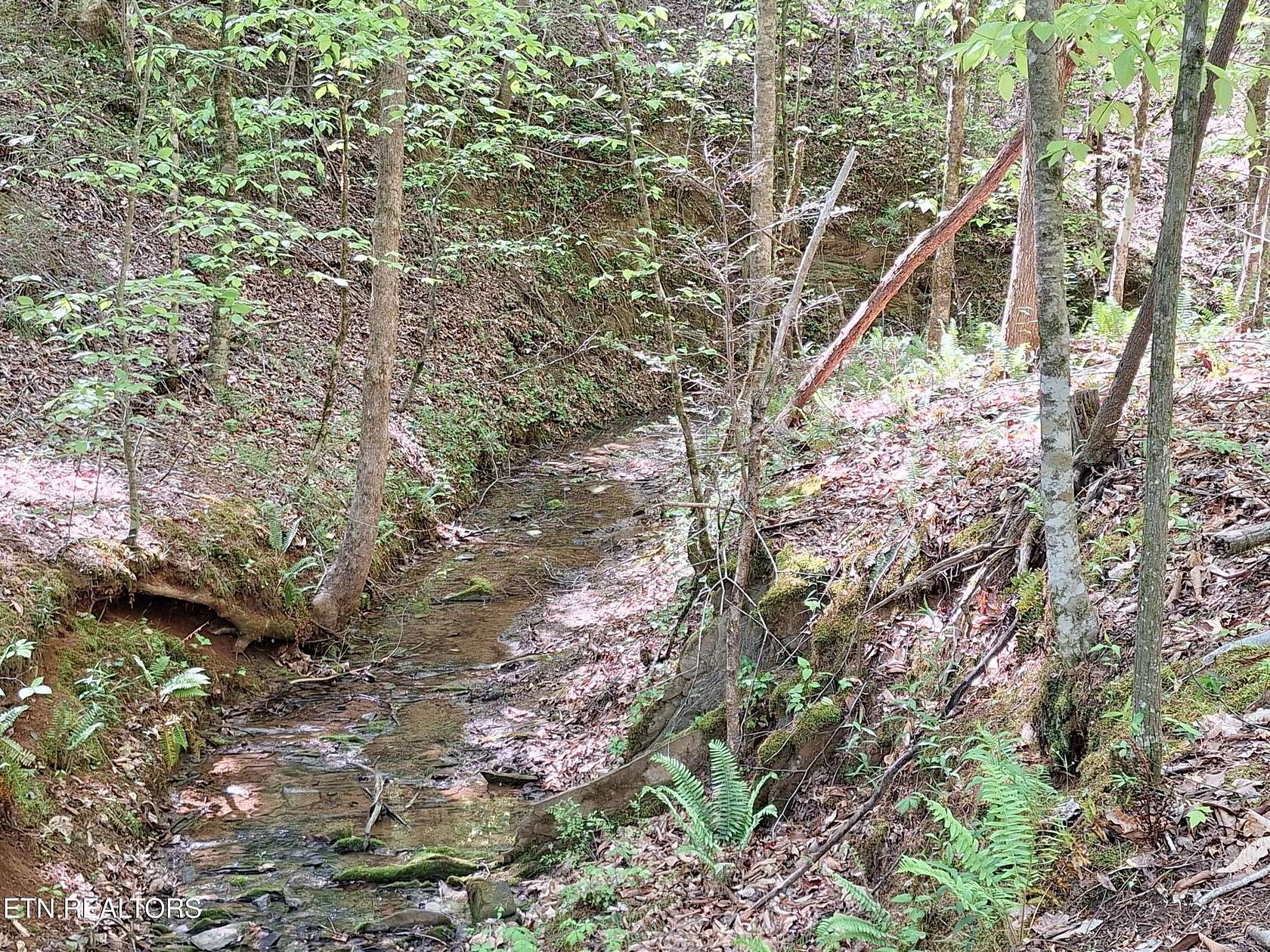 5.29 Acres of Residential Land for Sale in Tellico Plains, Tennessee