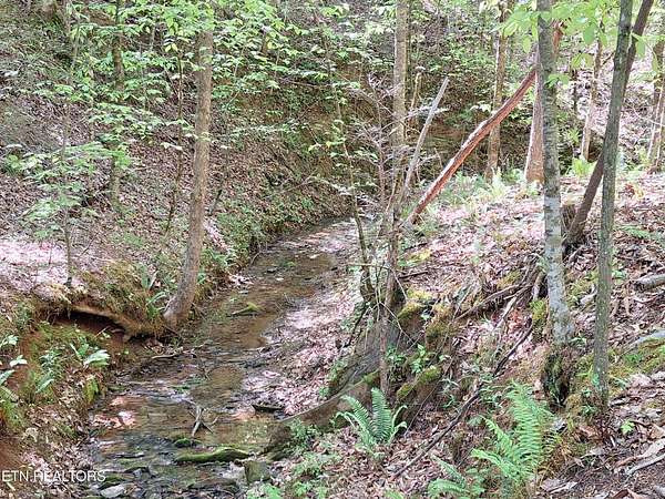 5.29 Acres of Residential Land for Sale in Tellico Plains, Tennessee