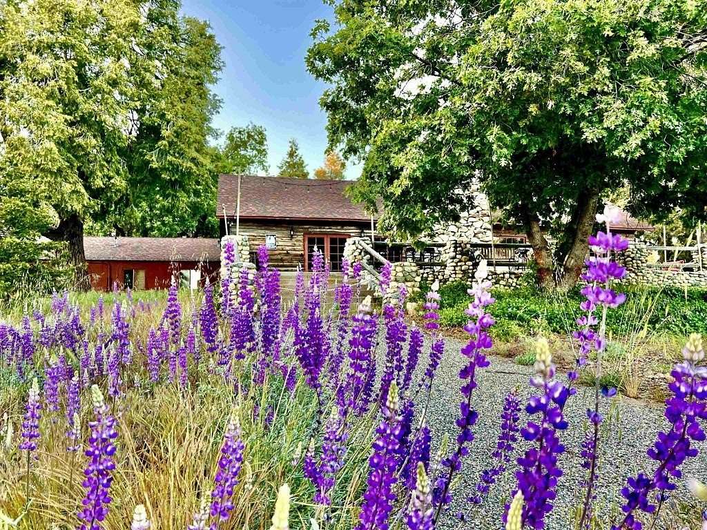 3.74 Acres of Land with Home for Sale in Palomar Mountain, California