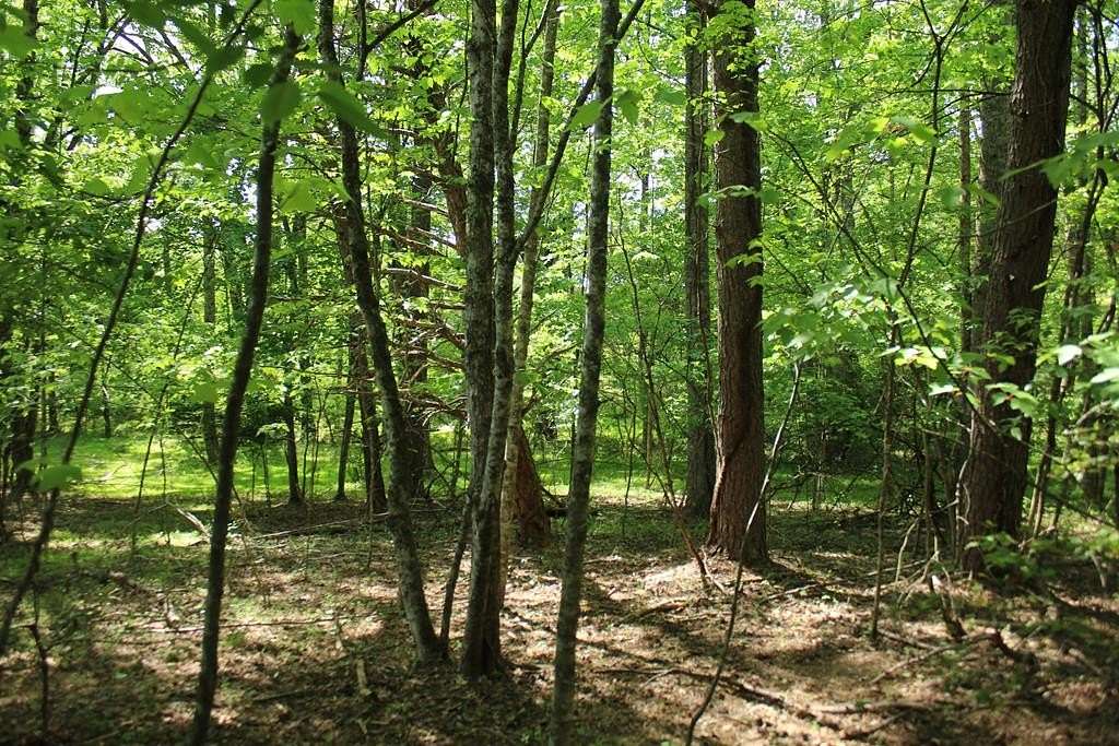 0.79 Acres of Residential Land for Sale in Hayesville, North Carolina