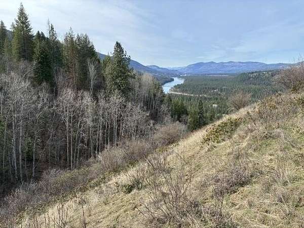 43.5 Acres of Recreational & Residential Land for Sale in Colville, Washington
