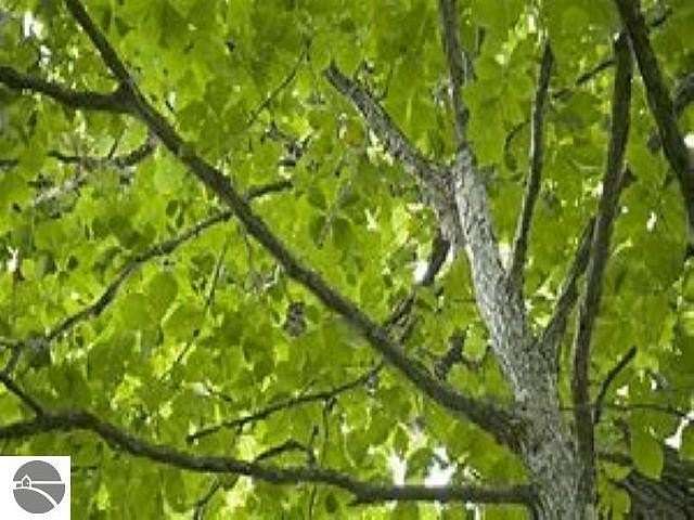1 Acre of Residential Land for Sale in Petoskey, Michigan