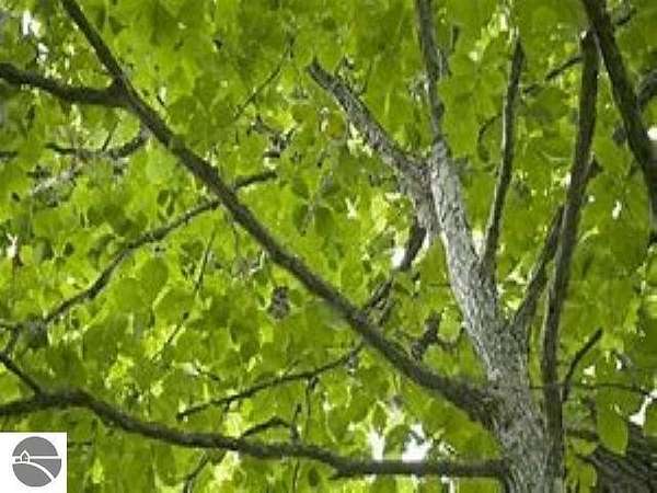 1 Acre of Residential Land for Sale in Petoskey, Michigan
