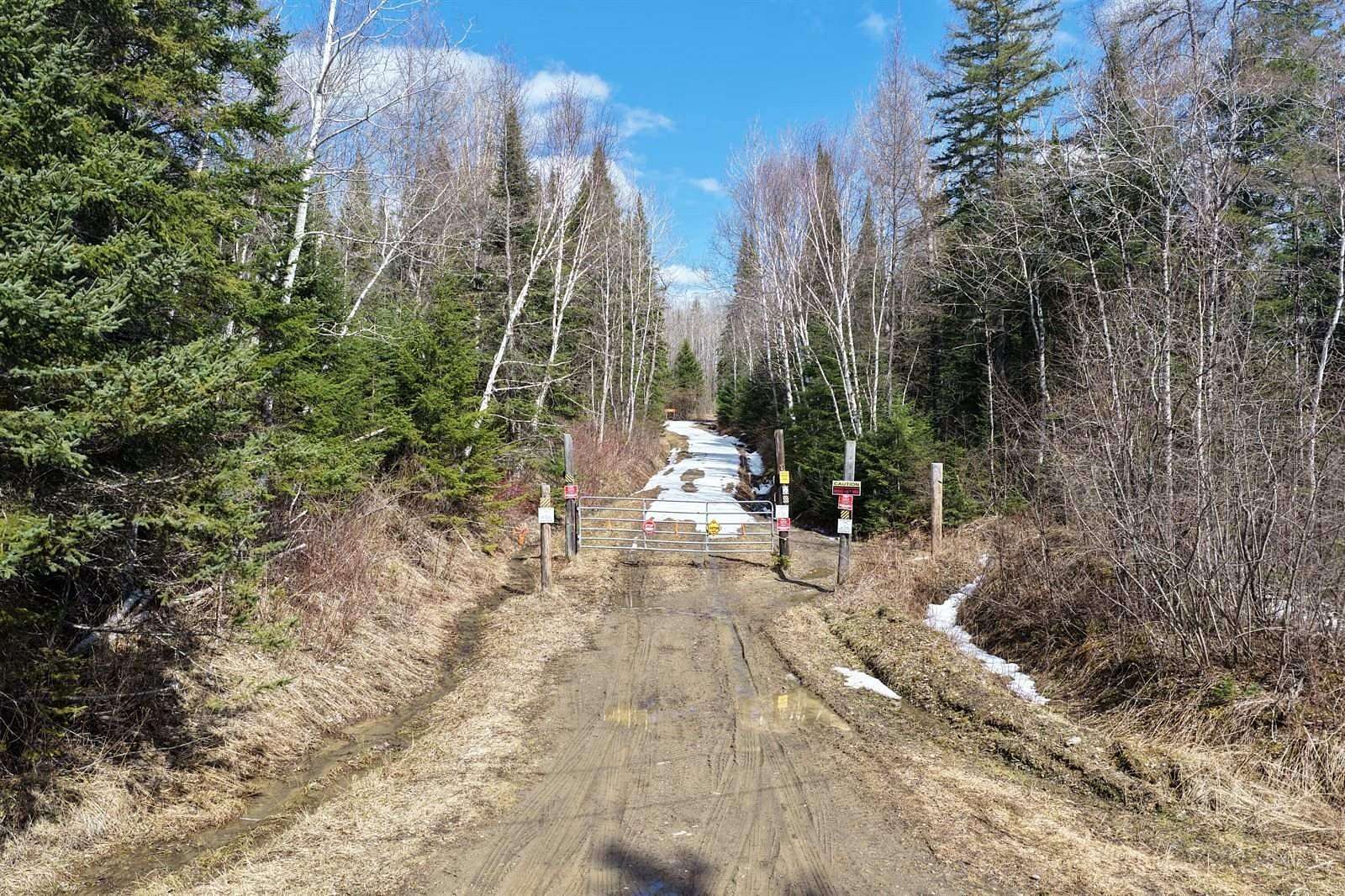 99.9 Acres of Recreational Land for Sale in Chapman, Maine