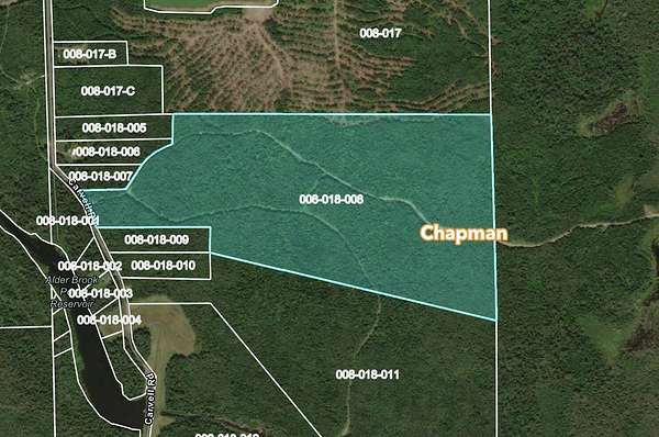 99.9 Acres of Recreational Land for Sale in Chapman, Maine