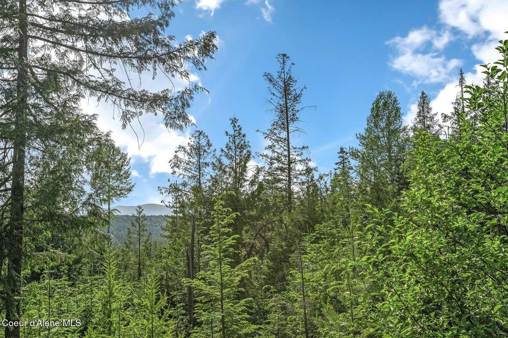 20 Acres of Land for Sale in Sandpoint, Idaho