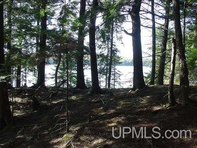 2 Acres of Residential Land for Sale in Watersmeet, Michigan