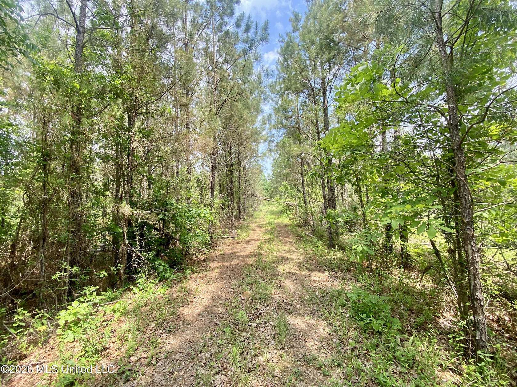 43.9 Acres of Recreational Land for Sale in Utica, Mississippi