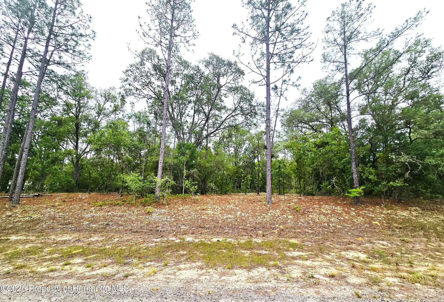 0.46 Acres of Residential Land for Sale in Citrus Springs, Florida