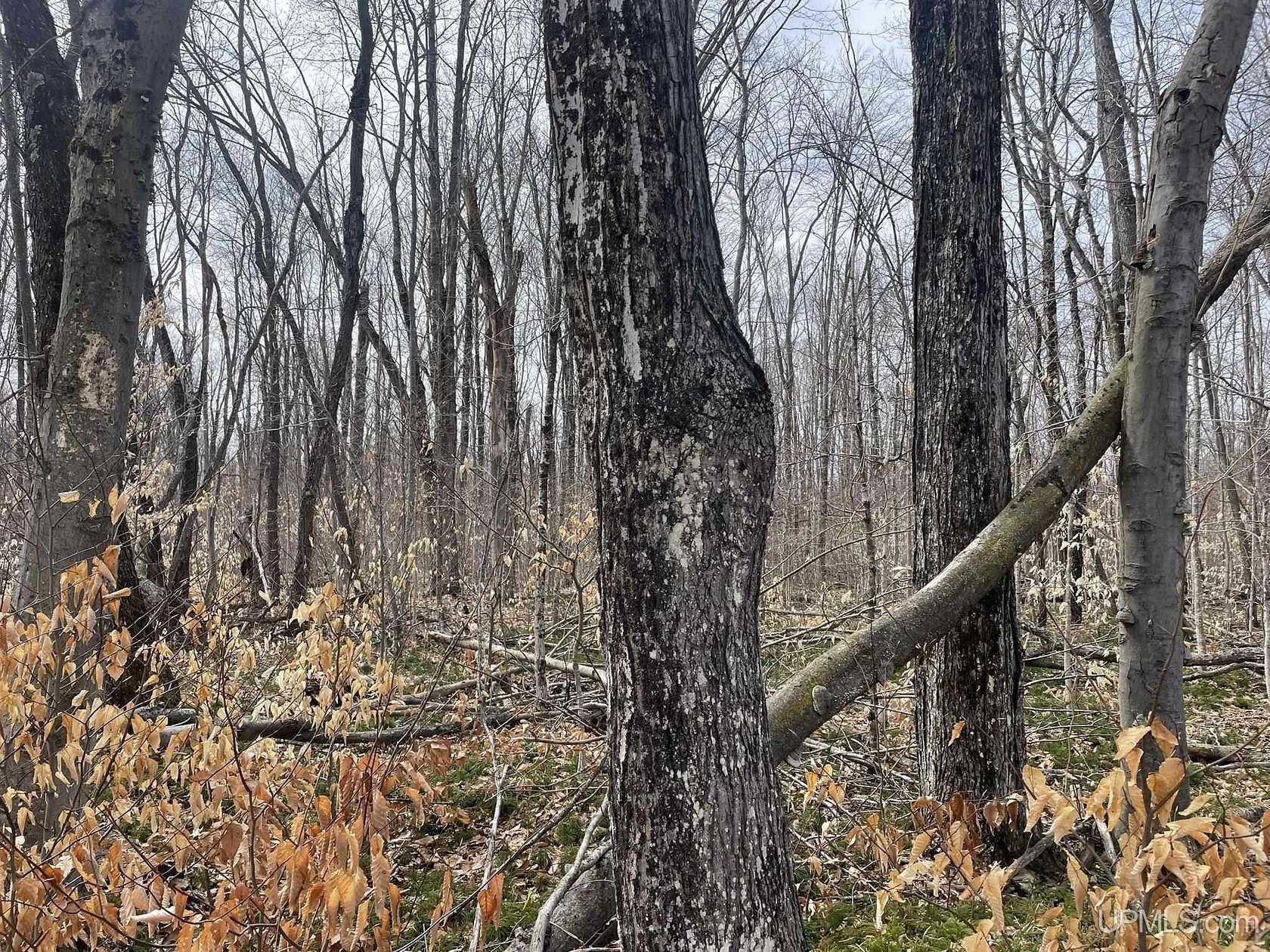 12 Acres of Land for Sale in Manistique, Michigan