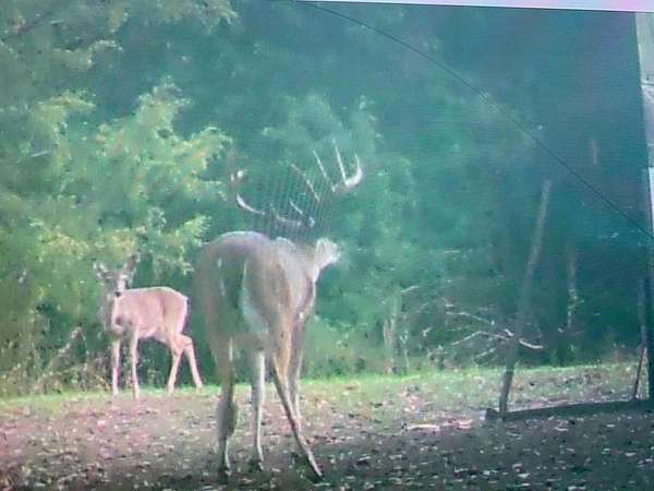 10.3 Acres of Recreational Land with Home for Sale in Groesbeck, Texas