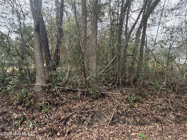 5 Acres of Commercial Land for Sale in Leland, North Carolina