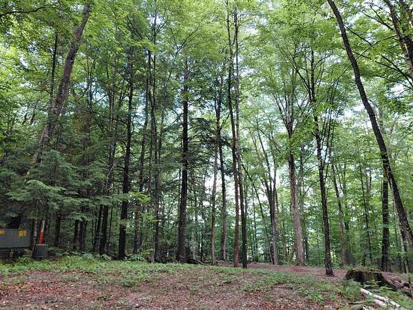 1 Acre of Land for Sale in Thornton, New Hampshire