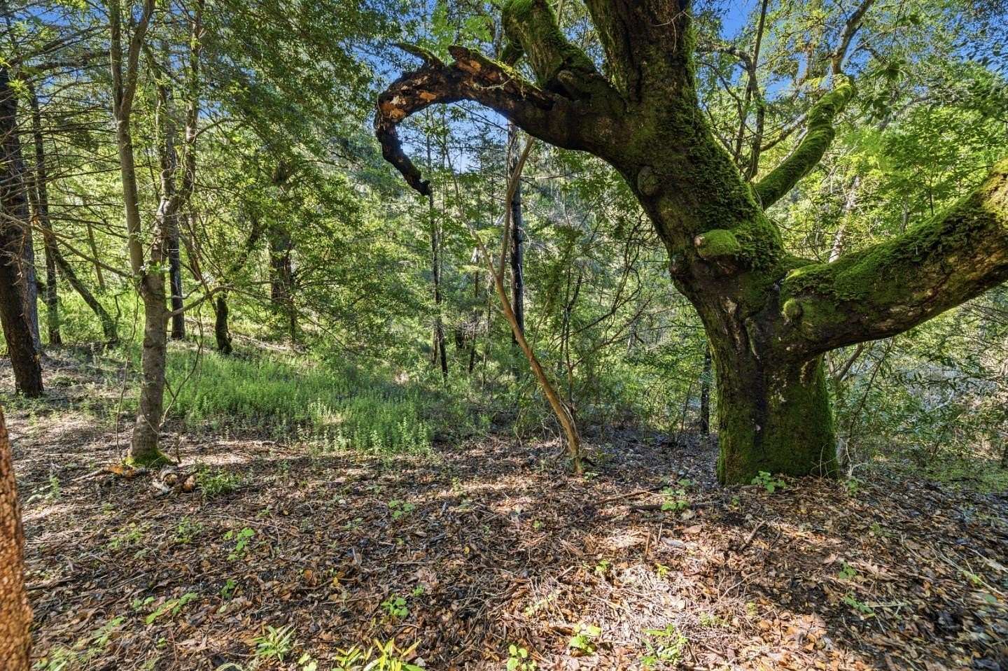 1.25 Acres of Residential Land for Sale in Boulder Creek, California