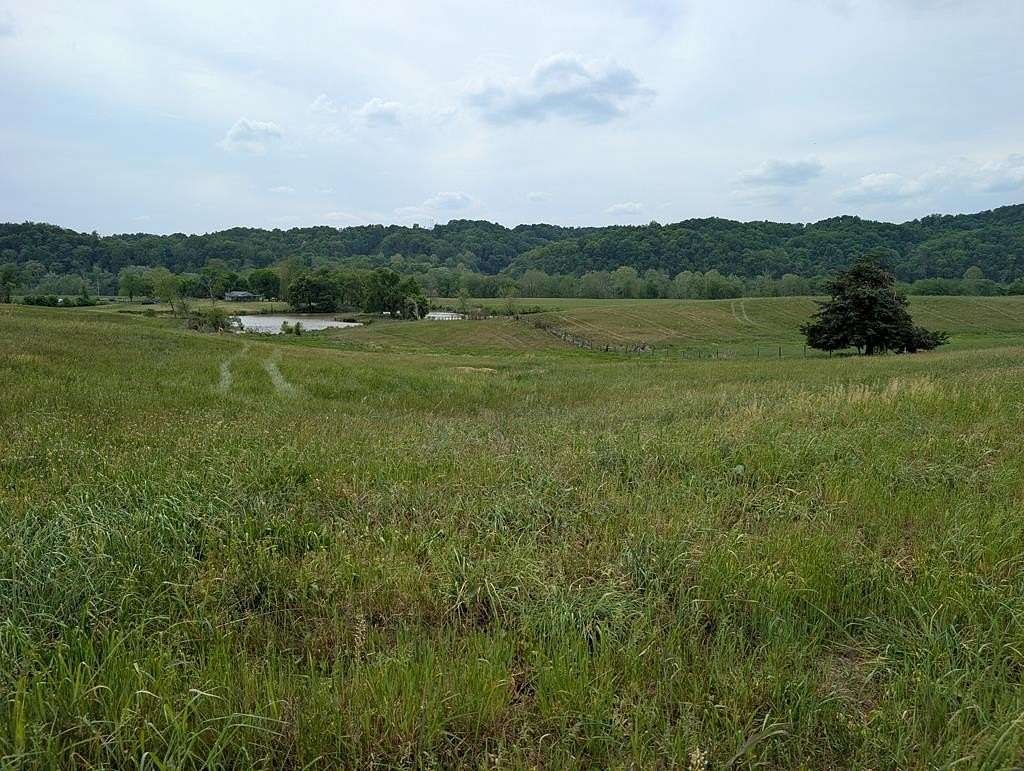 Residential Land for Sale in Burkesville, Kentucky