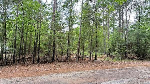 0.23 Acres of Residential Land for Sale in Brookeland, Texas