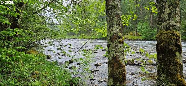 0.82 Acres of Residential Land for Sale in Rhododendron, Oregon