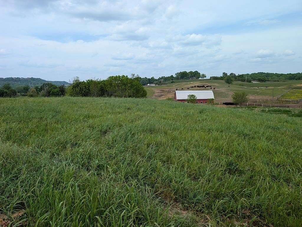 Residential Land for Sale in Burkesville, Kentucky