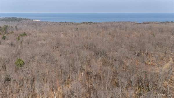 10.2 Acres of Recreational & Residential Land for Sale in Manistique, Michigan
