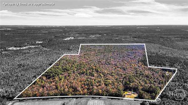 160 Acres of Land for Sale in Guyton, Georgia