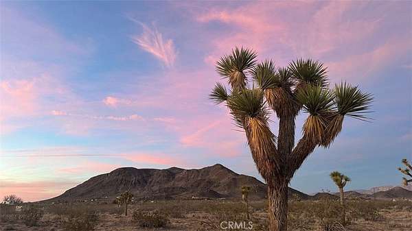 5 Acres of Land for Sale in Landers, California