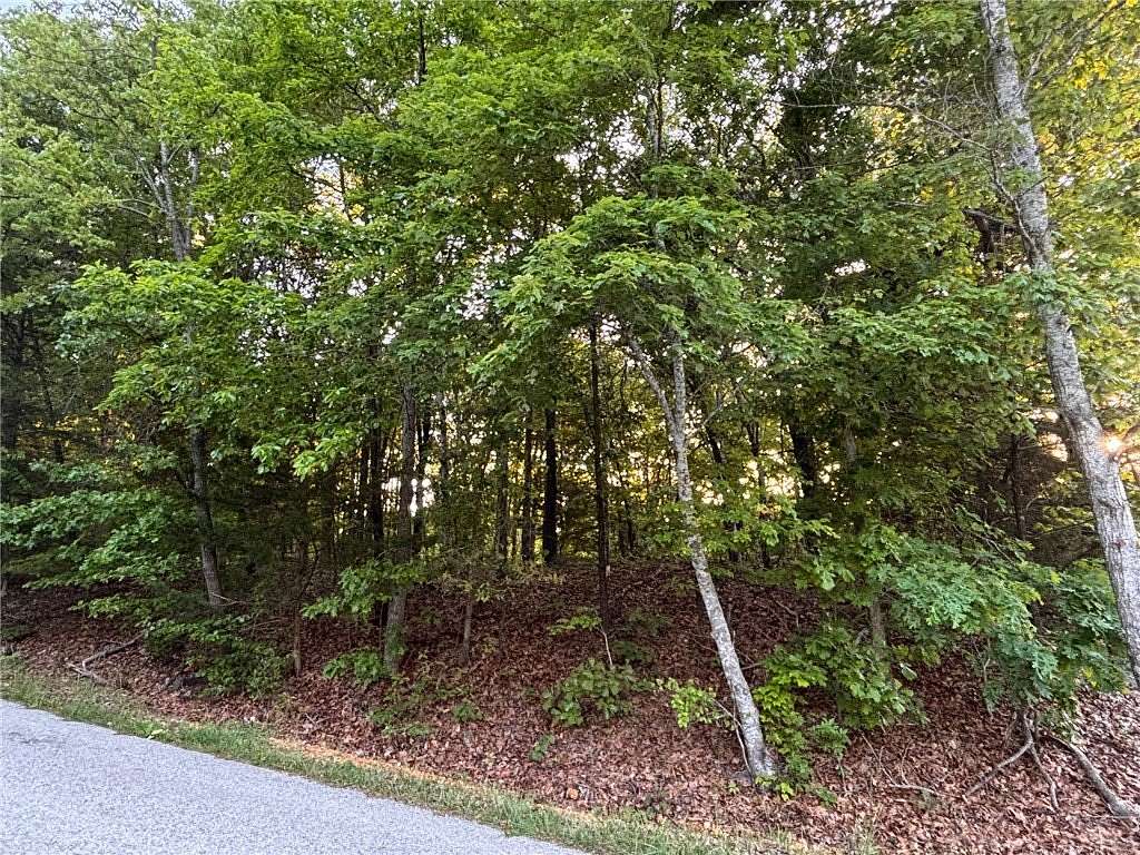 0.58 Acres of Residential Land for Sale in Bella Vista, Arkansas
