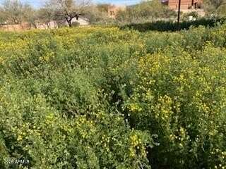 1 Acre of Residential Land for Sale in New River, Arizona