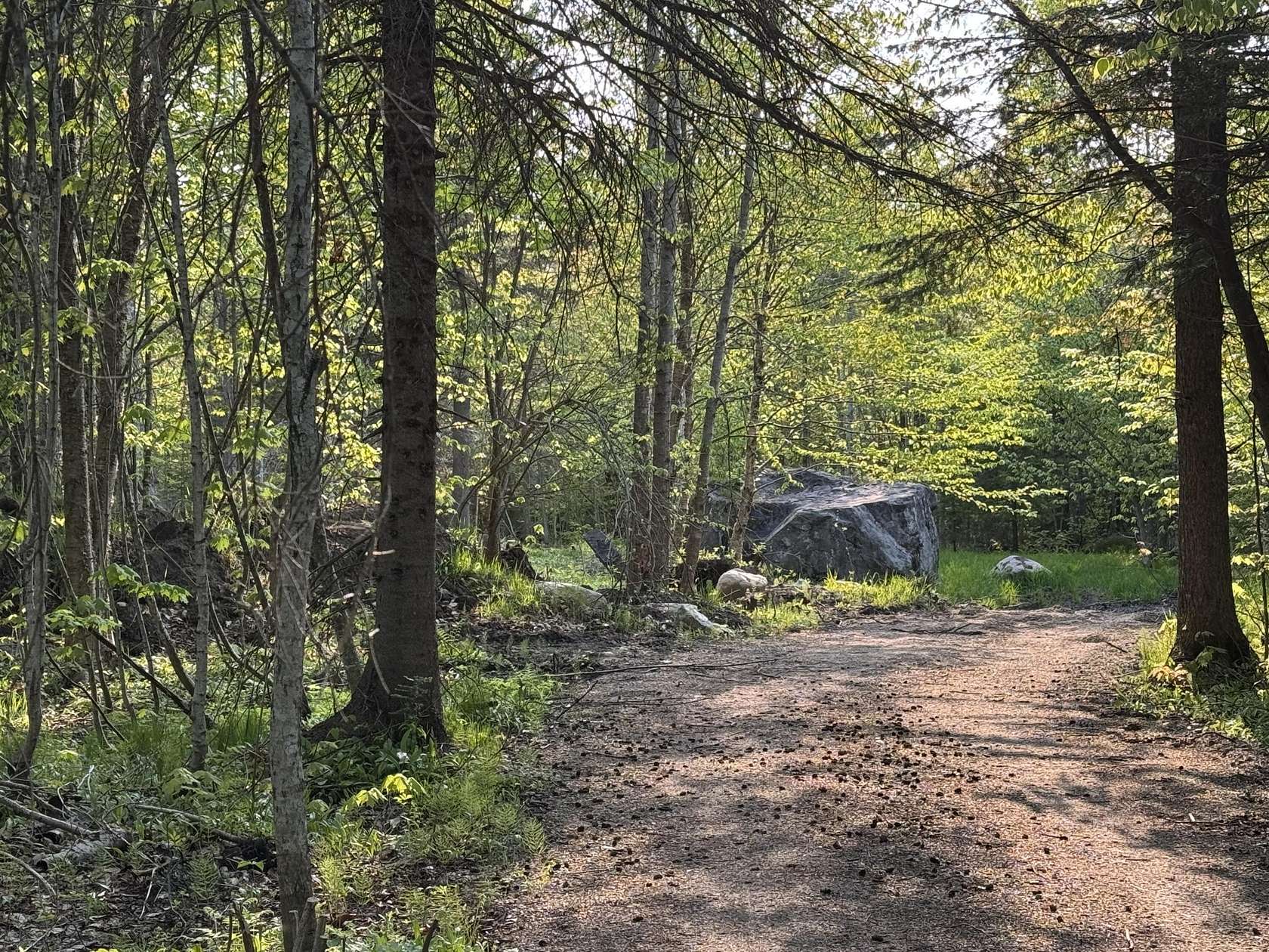 9 Acres of Land for Sale in Grand Marais, Michigan