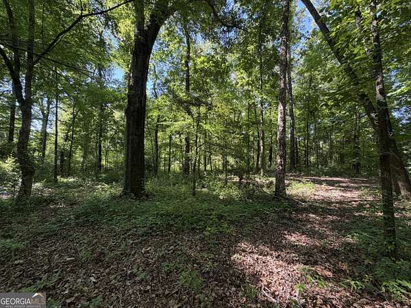1.49 Acres of Residential Land for Sale in Lizella, Georgia
