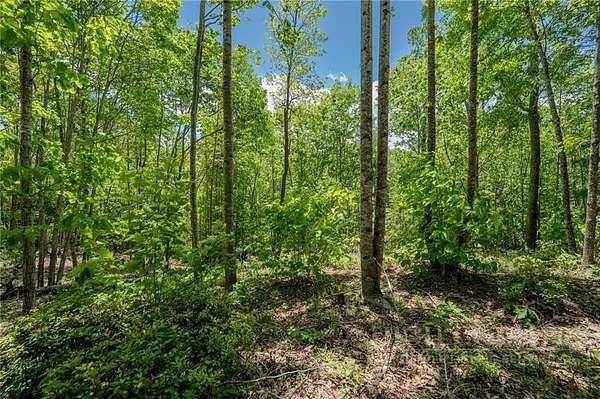 1.63 Acres of Residential Land for Sale in Elk Park, North Carolina