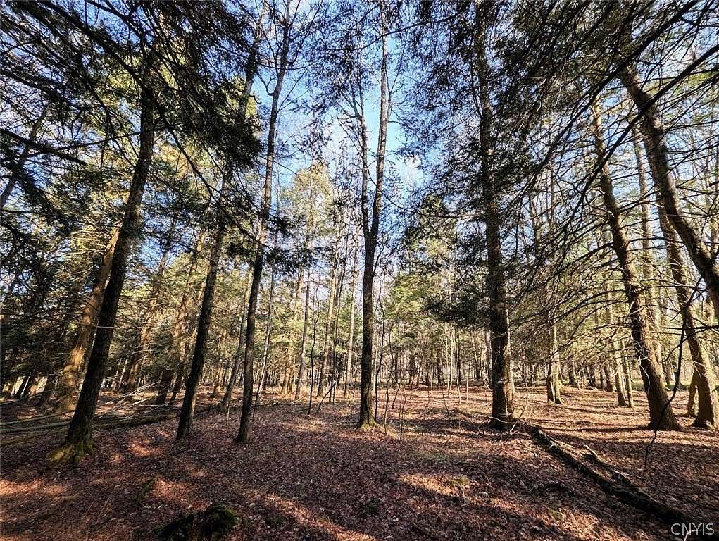 11.2 Acres of Recreational Land for Sale in Greenwood, New York