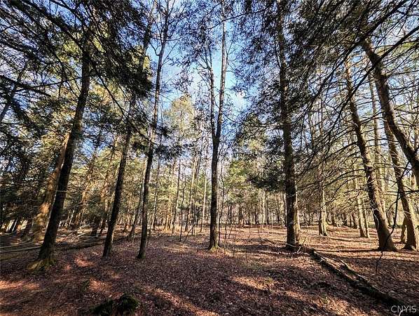 11.2 Acres of Recreational Land for Sale in Greenwood, New York