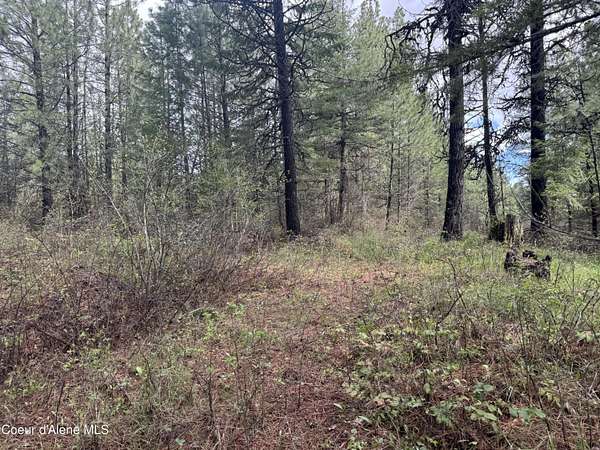 4.5 Acres of Residential Land for Sale in Plummer, Idaho