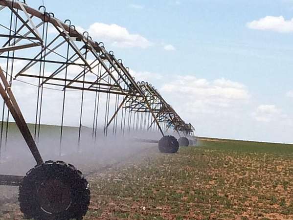 599 Acres of Agricultural Land for Sale in Brownfield, Texas