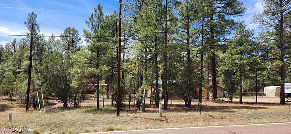 0.37 Acres of Land for Sale in Overgaard, Arizona