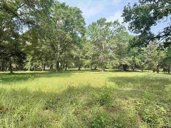 2.37 Acres of Residential Land for Sale in Jacksonville, Texas