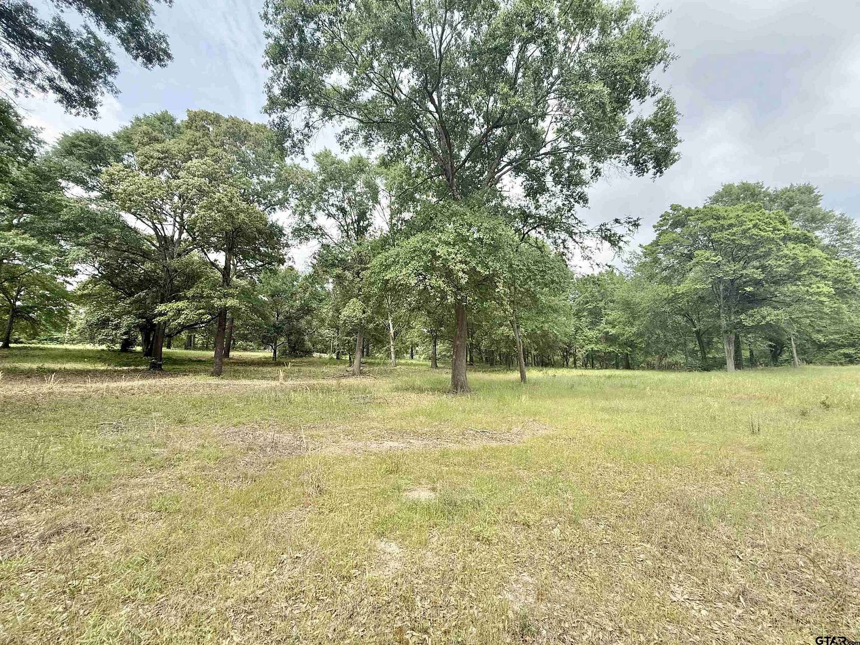 2.37 Acres of Residential Land for Sale in Jacksonville, Texas