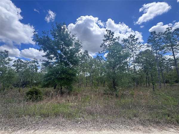 0.23 Acres of Residential Land for Sale in Williston, Florida