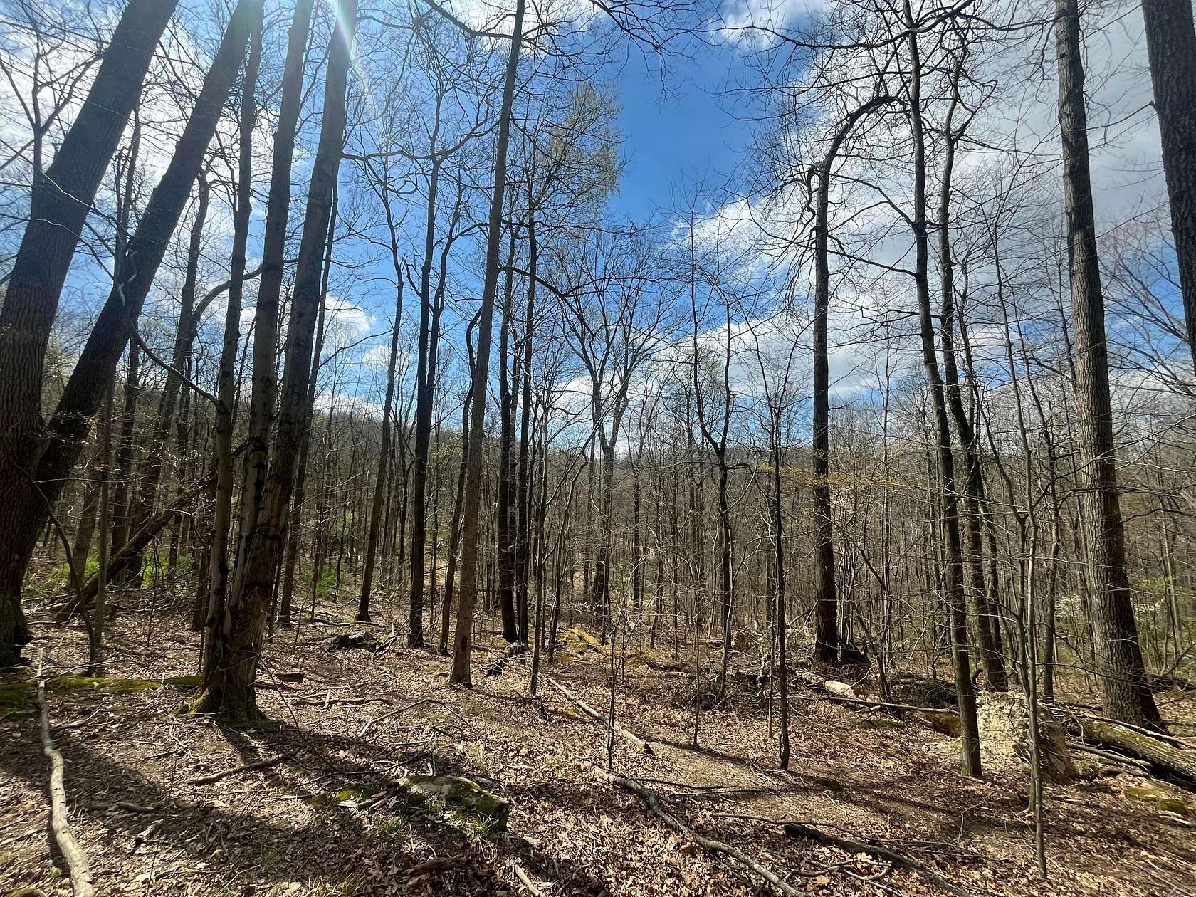 3 Acres of Residential Land for Sale in Newark, Ohio