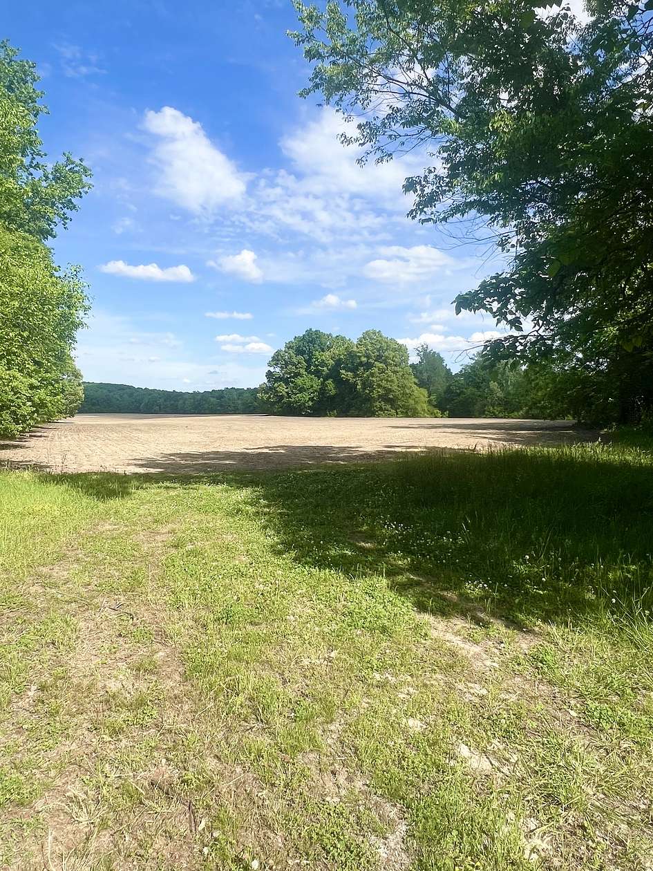 56.5 Acres of Land for Sale in Lexington, Tennessee